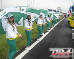 promoes e eventos em curitiba - Recepcionistas Petrobras